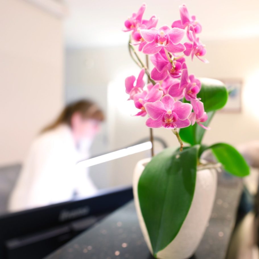Empfang Rosa Orchidee in einem weißen Topf, Hintergrund unscharf mit einer Person am Tisch.